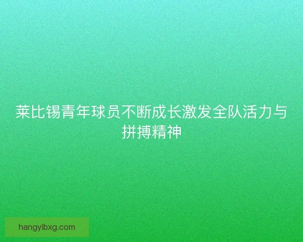 莱比锡青年球员不断成长激发全队活力与拼搏精神